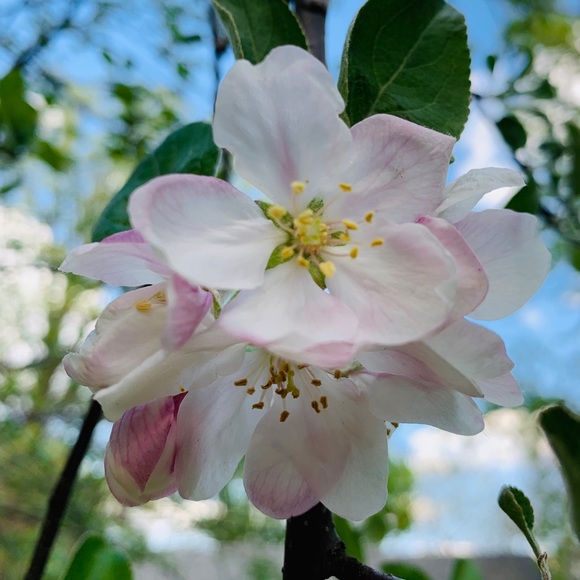 Meet your Posher, T - Picture 1 of 1